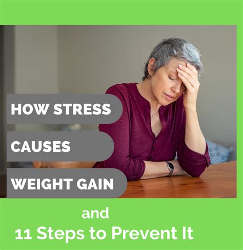 How Stress Causes Weight Gain – Insight Wellness Works