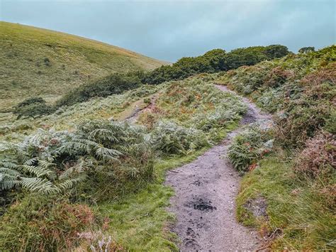 Magical Wistman’s Wood Walk, Dartmoor - How To Visit From Two Bridges ...