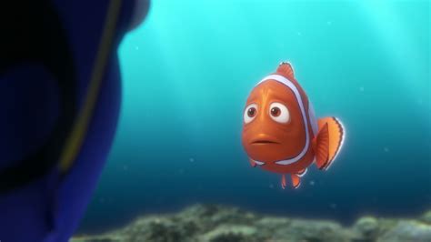 Finding Dory Movie Trailer and Videos | TV Guide