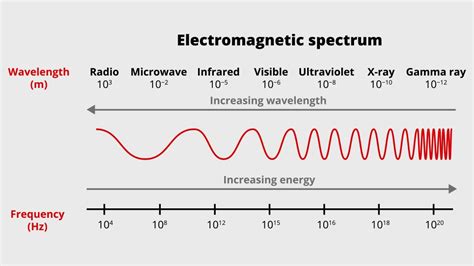 Microwaves may cause traumatic brain injuries | Texas A&M Engineering Experiment Station