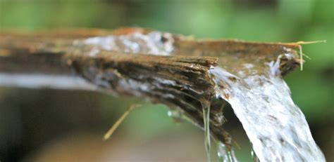 Bamboo Drip Irrigation a Marvel to Meghalaya’s Native Farmers