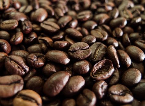 Coffee Beans | Copyright-free photo (by M. Vorel) | LibreShot