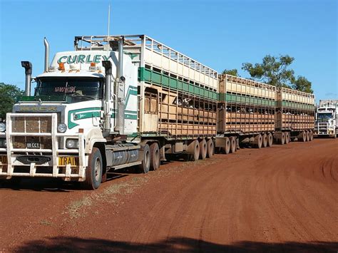 HD wallpaper: Trucks, Mack Trucks, Australia, Cattle-hauler, Kenworth, Road Train | Wallpaper Flare