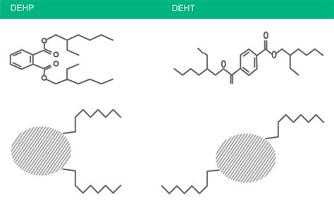 DEHP Exposure