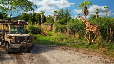 Kilimanjaro Safaris | Animal Kingdom Attractions | Walt Disney World Resort