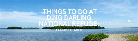 Things To Do At Ding Darling Wildlife Refuge: A Complete Guide - The World Travel Girl