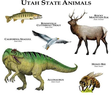 Utah State Animals Poster Print | Etsy | Animal posters, Animals, Wildlife