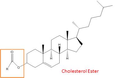 Cholesterol Ester Structure