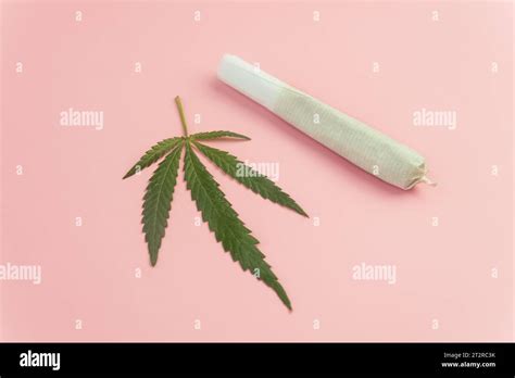 Equipment smoke weed on pink background. Cannabis legalisation. CBD and THC on buds in cannabis ...