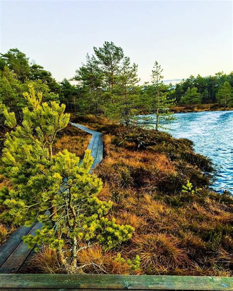 Here are 24 stunning photographs of Estonia's five national parks ...