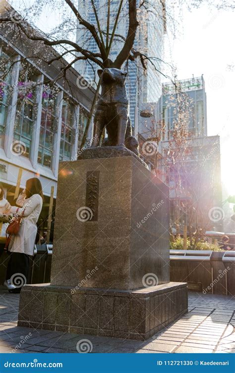 Hachiko Memorial Statue in Shibuya, Tokyo. Editorial Image - Image of ...