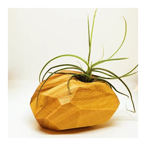 Handmade Wooden Air Plant Holder ($63 for a set of three) | Mid-Century Planters on Amazon Prime ...