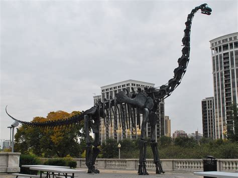 Brachiosaurus at the Field Museum of Natural History, Chicago, IL | Brachiosaurus, Field museum ...