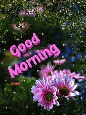 Good Morning GIF | Good morning gif, Morning gif, Good morning gif images