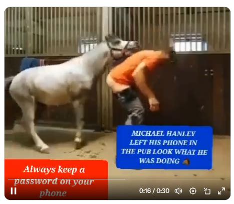 Shocking video of man being mounted by horse causes the case of Mr ...