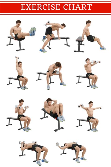 125+ Classic Dumbbell Weight Bench - Benches Furniture