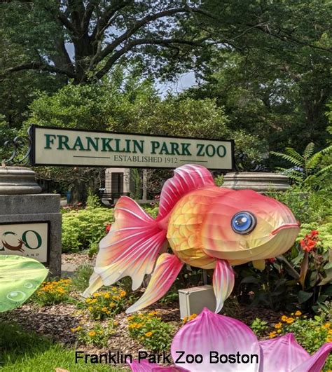 FRANKLIN PARK ZOO - Novus Laurus Cultural