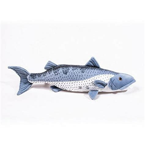 Baby Barracuda Fish Sacramento Ca Outlet | head.hesge.ch