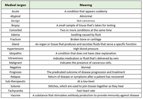 Patient Better® - Best Medical Jargon Identifiers for 2022