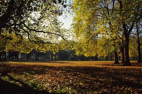 Autumn Green Park | Green Park, City of Westminster, London,… | Flickr