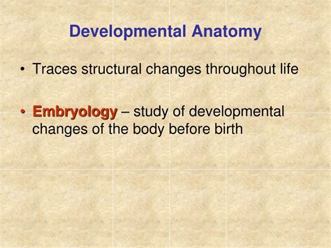 PPT - The Human Body: Anatomical Regions, Directions, and Body Cavities ...