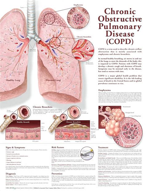 Health Blog | Enfermedad, Anatomía, Enfermeras de urgencias