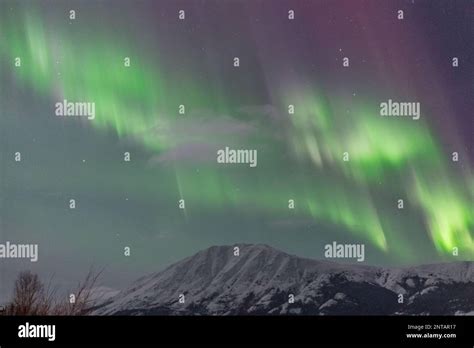 Aurora Borealis seen in northern Canada during winter time with snow ...