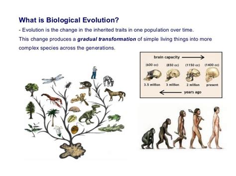 Unit5 biological evolution