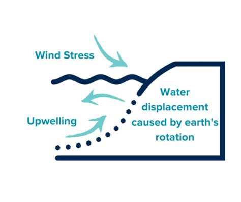 What is Coastal Upwelling and Why is it Important? | Coastal and Marine Sciences Institute