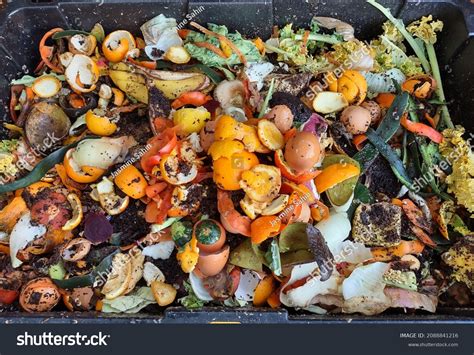 336 Decomposed Plant Matter Images, Stock Photos & Vectors | Shutterstock