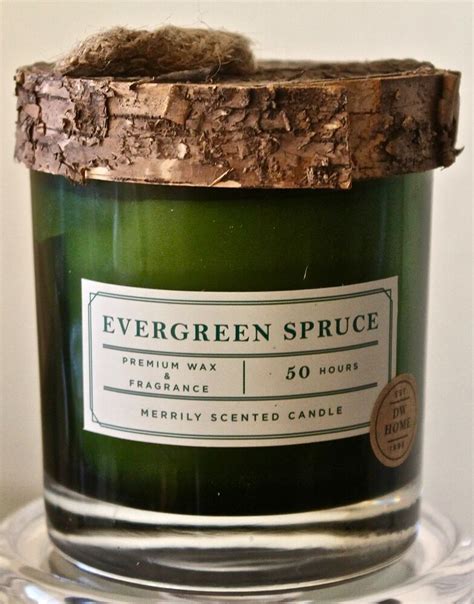 DW HOME CANDLE EVERGREEN SPRUCE 1 WICK GREEN GLASS JARBIR7402 50 HRS ...