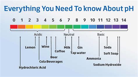 What is pH of Water?- Everything You Should Know About Water