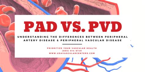 pad vs. pvd differences blog cover vascular - USA Vascular Centers