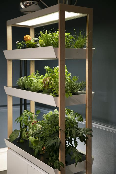 Rise Gardens raises seed funding for an indoor hydroponic gardening system https://ift.tt ...