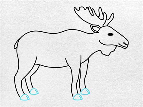 Moose Outline Drawing