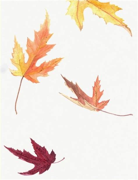 Autumn Leaves Falling Drawing