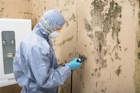 5 Signs Your Home May Need Mold Mitigation