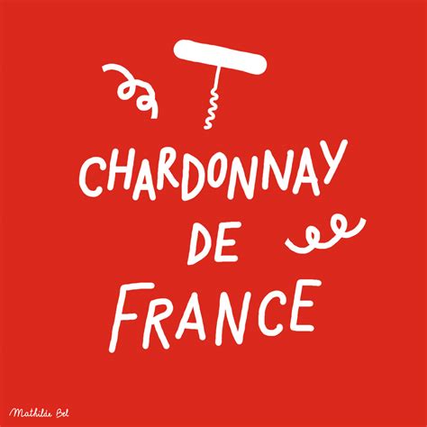 Chardonnay grape variety: all you need to know - Vin De France wines