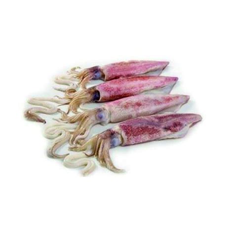 Whole Squid 10/12 1kg. FROZEN