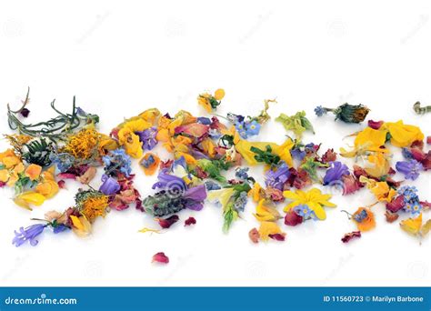 Scattered Flowers And Herbs Stock Image - Image: 11560723