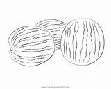Three Watermelon Coloring Page For Kids  Free Printable sketch template