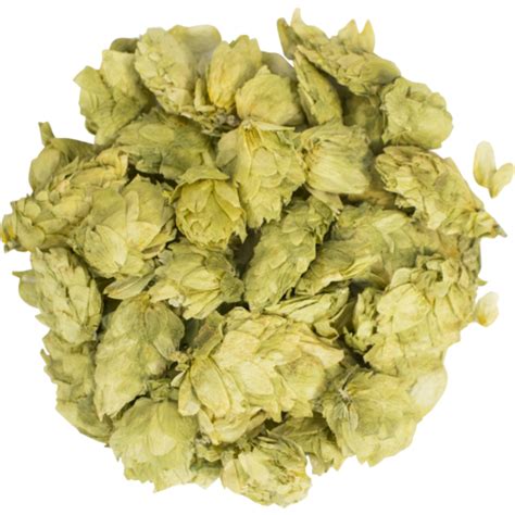 Amarillo® Hops (Whole Cone) | MoreBeer