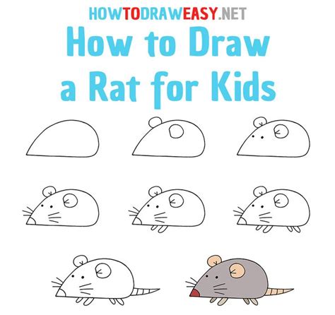 How To Draw A Rat How To Draw A Rat Rats Step By Step Drawing | Images and Photos finder