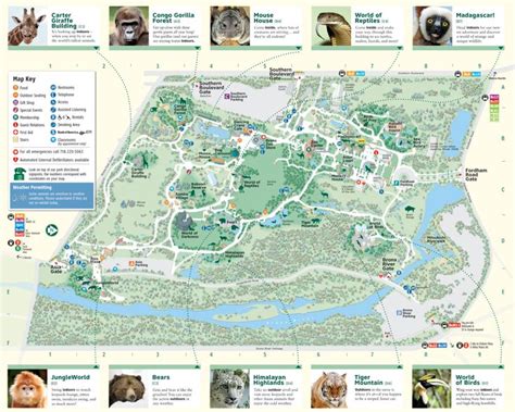 Bronx Zoo Map | Zoo map, Columbus zoo, Bronx zoo