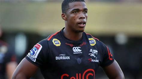 Sharks' Grant Williams reflects on journey to Bok jersey | rugby