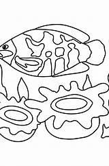 Guppy  Fish coloring Pages For Adults Online And Printable sketch template