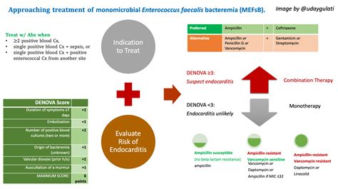 How do you approach enterococcal bacteremia? – Inspira MedEd