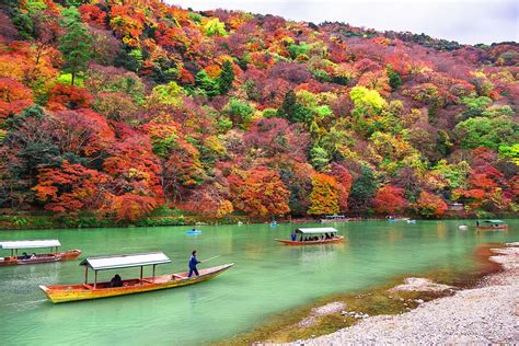 Skip Japan’s Cherry Blossom Season and Come for the Autumn Maples ...