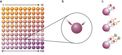 Luminex bead assay principle