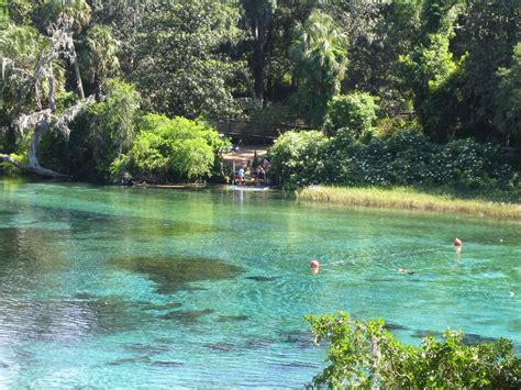 Florida Family Vacations; The Nature Coast | Rainbow river, Florida family vacation, Florida ...